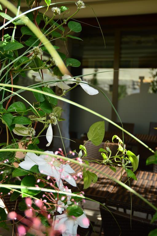 Locanda Blum In Rovetta Luaran gambar